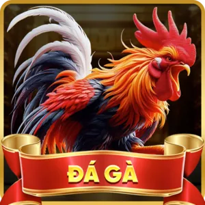 Khuyến Mãi K9CC Độc Quyền