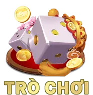 Phản hồi nhanh chóng K9CC