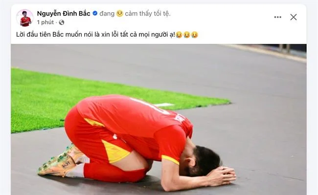 Đá gà Thomo trực tiếp